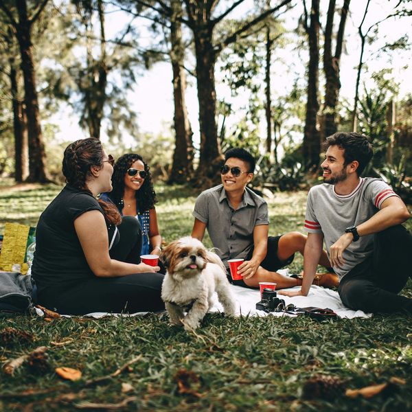Group of diverse teenagers sitting in a circle, chatting happily.